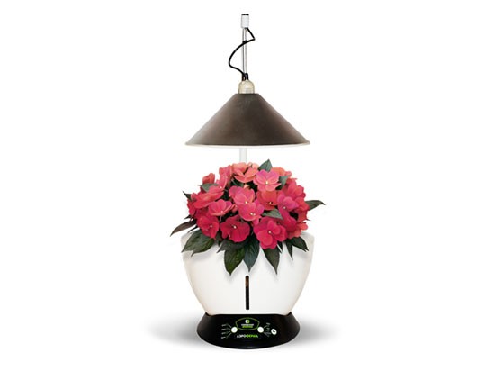 Аэроферма. Городской Фермер. Настольная грядка.