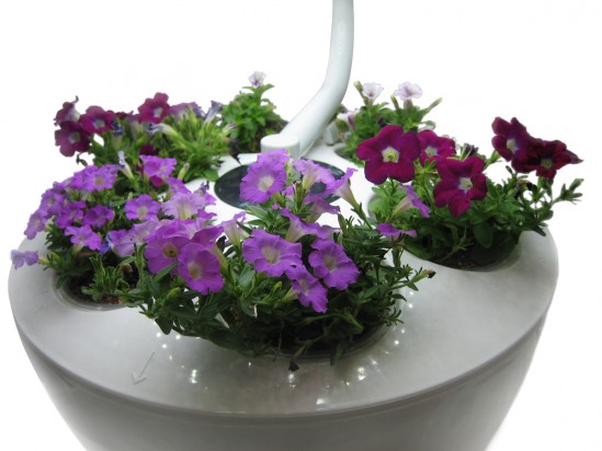 Аэроферма. Городской Фермер. Настольная грядка.