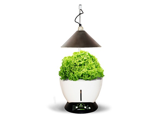 Аэроферма. Городской Фермер. Настольная грядка.